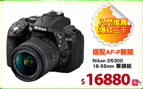 Nikon D5300
18-55mm 單鏡組