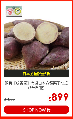 預購【綺香園】有機日本品種栗子地瓜(5台斤/箱)