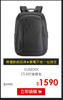 SUMDEX <br>
15.6吋後背包