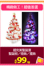 超完美聖誕窩
聖誕樹／燈飾／擺飾