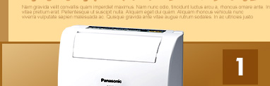 【國際牌 Panasonic】8公升清淨除濕機