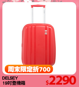 DELSEY
19吋登機箱