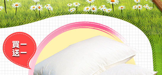 純棉表布 日本高科技技術皇室羽毛工房 100%天然羽毛枕