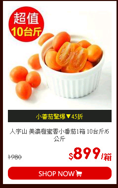 人字山 美濃橙蜜香小番茄1箱 10台斤/6公斤