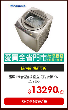 國際12kg超強淨直立式洗衣機NA-120YB-N