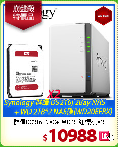 群暉DS216j NAS+
WD 2T紅標碟X2