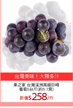 果之家 台灣溪洲高級巨峰
葡萄5台斤(約5-7房)