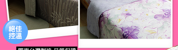 獨家台灣製造 品質保證伊柔寢飾 天絲兩用被床包組(雙人)