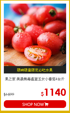 果之家 美濃無毒溫室玉女小番茄4台斤