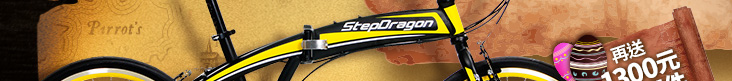 【StepDragon】SM-3 20吋21速451折疊車