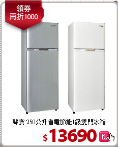 聲寶 250公升省電節能1級雙門冰箱