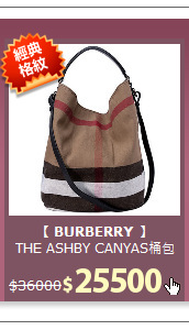 THE ASHBY CANYAS桶包