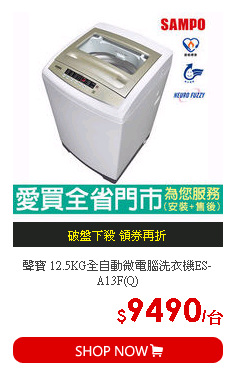 聲寶 12.5KG全自動微電腦洗衣機ES-A13F(Q)