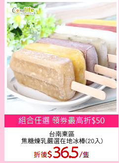 台南東區
焦糖煉乳嚴選在地冰棒(20入)