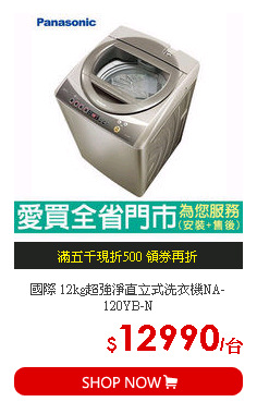 國際 12kg超強淨直立式洗衣機NA-120YB-N