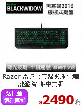 Razer 雷蛇 黑寡婦蜘蛛 電競鍵盤 綠軸-中文版