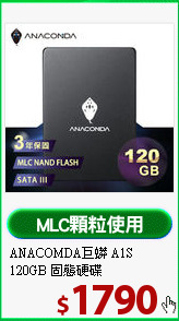 ANACOMDA巨蟒 A1S 
120GB 固態硬碟