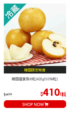 韓國圓黃梨/6粒(420g±10%/粒)