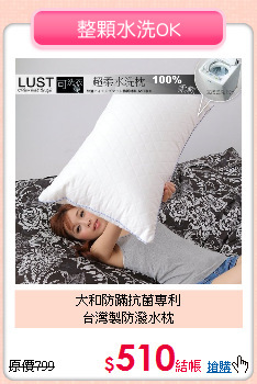 大和防蹣抗菌專利<BR>台灣製防潑水枕