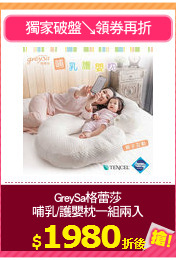 GreySa格蕾莎
哺乳/護嬰枕一組兩入