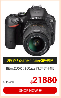Nikon D5500 18-55mm VR(中文平輸)
