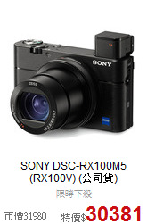SONY DSC-RX100M5
(RX100V) (公司貨)