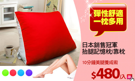 日本銷售冠軍
抬腿記憶枕/靠枕