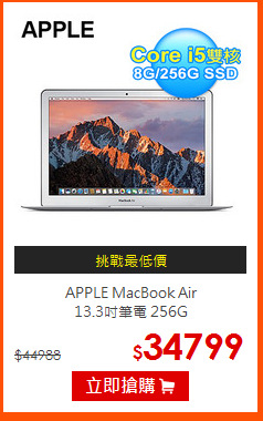 APPLE MacBook Air<br>
13.3吋筆電 256G