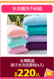 台灣製造
排汗水洗抗菌枕(4入)