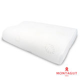 (任選活動)法國-MONTAGUT-EXTRA HIGH DENSITY炭素零重力記憶枕